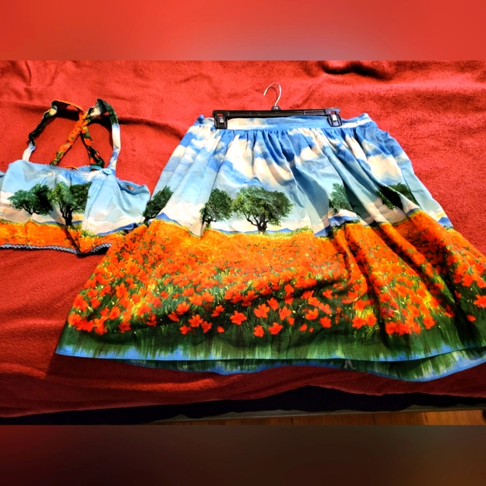 Very good used condition Bernie Dexter crop top and matching a line skirt 2x
